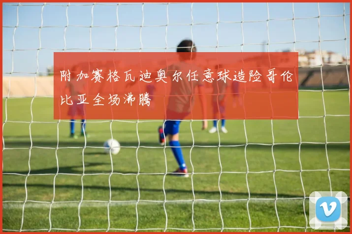附加赛格瓦迪奥尔任意球造险哥伦比亚全场沸腾