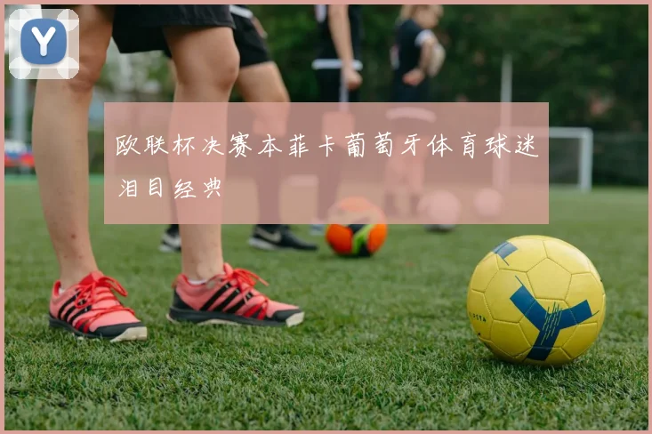欧联杯决赛本菲卡葡萄牙体育球迷泪目经典