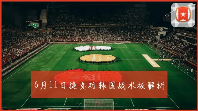 6月11日捷克对韩国战术板解析