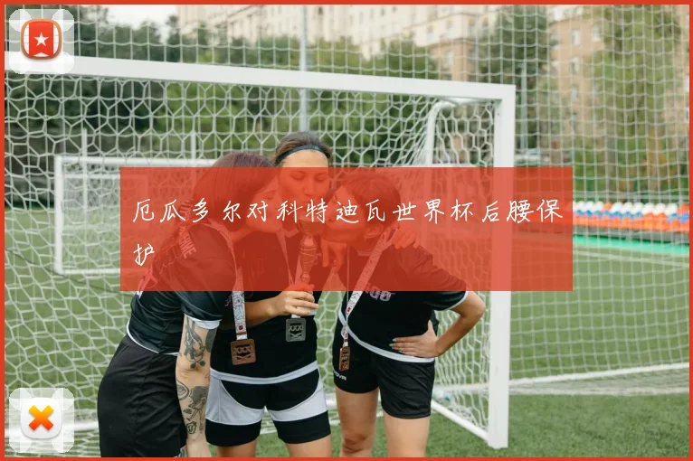 厄瓜多尔对科特迪瓦世界杯后腰保护