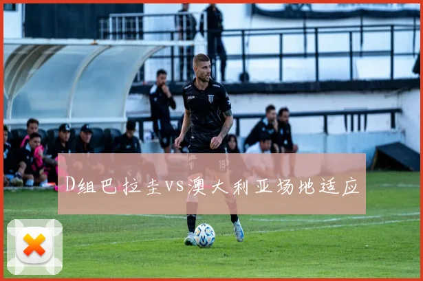 D组巴拉圭vs澳大利亚场地适应